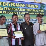 Lomba Peningkatan Produksi Padi Organik antar Kelompok Tani se-Kota Cirebon 2013